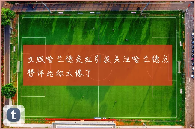 女版哈兰德走红引发关注哈兰德点赞评论称太像了